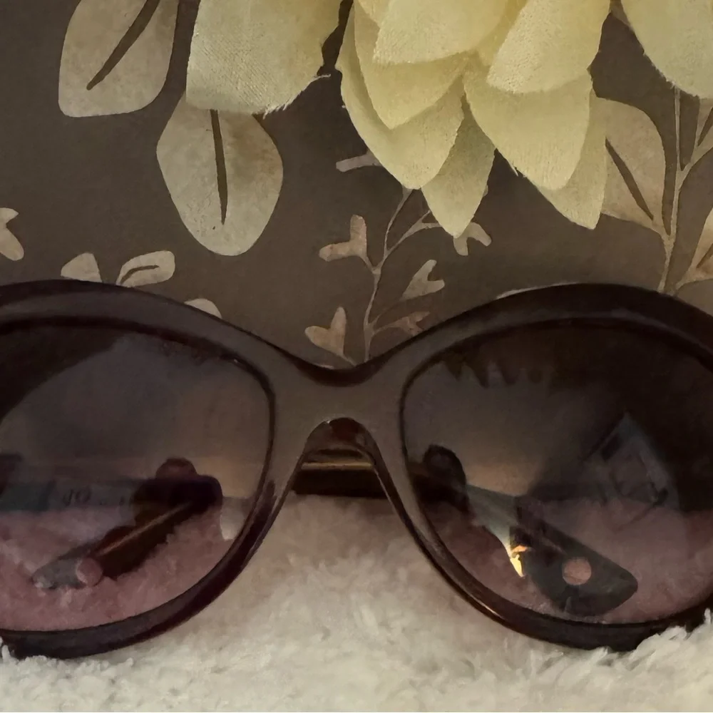 Michael Kors Brown Oversized Sunglasses - Picture 9 of 12